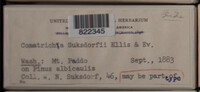 Image Associated With the Occurence